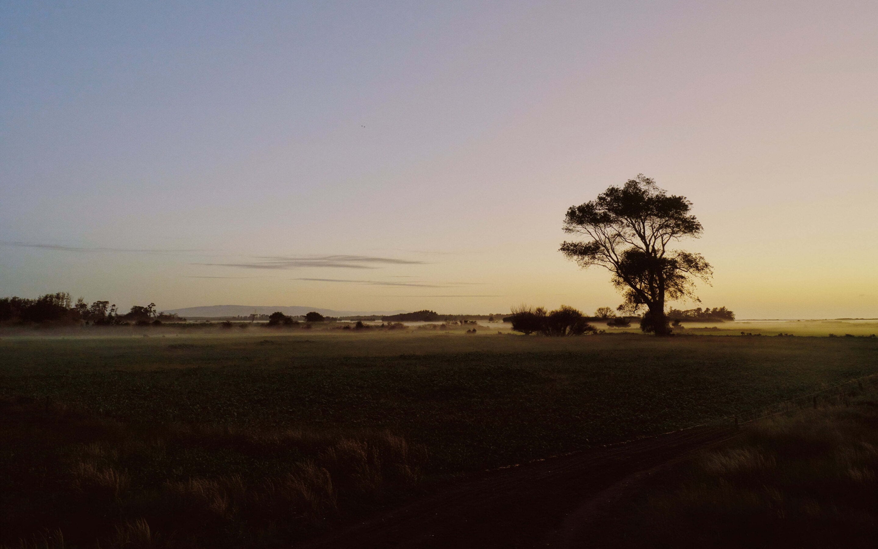 Urban Estates 16 03 2026 3279 HR Header 1